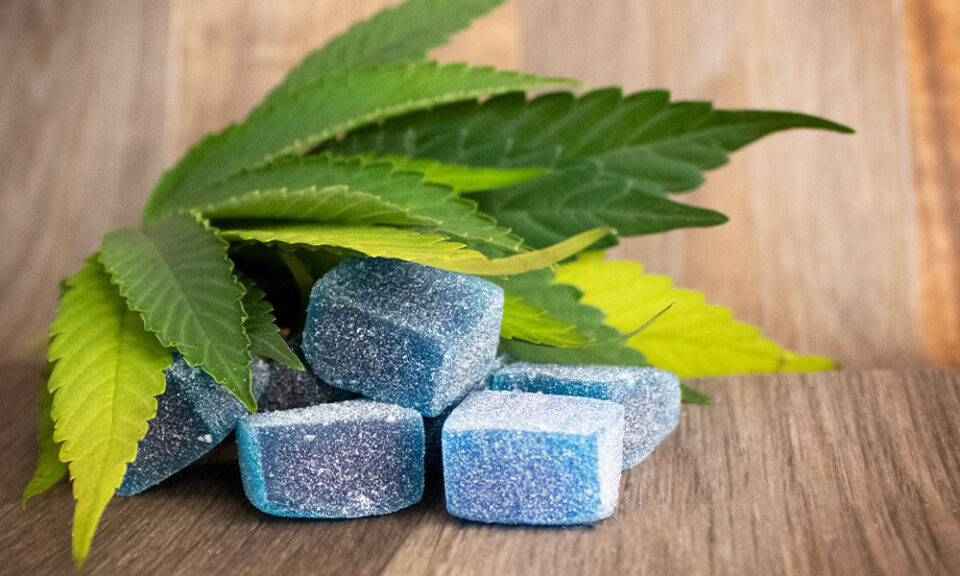 weed gummies