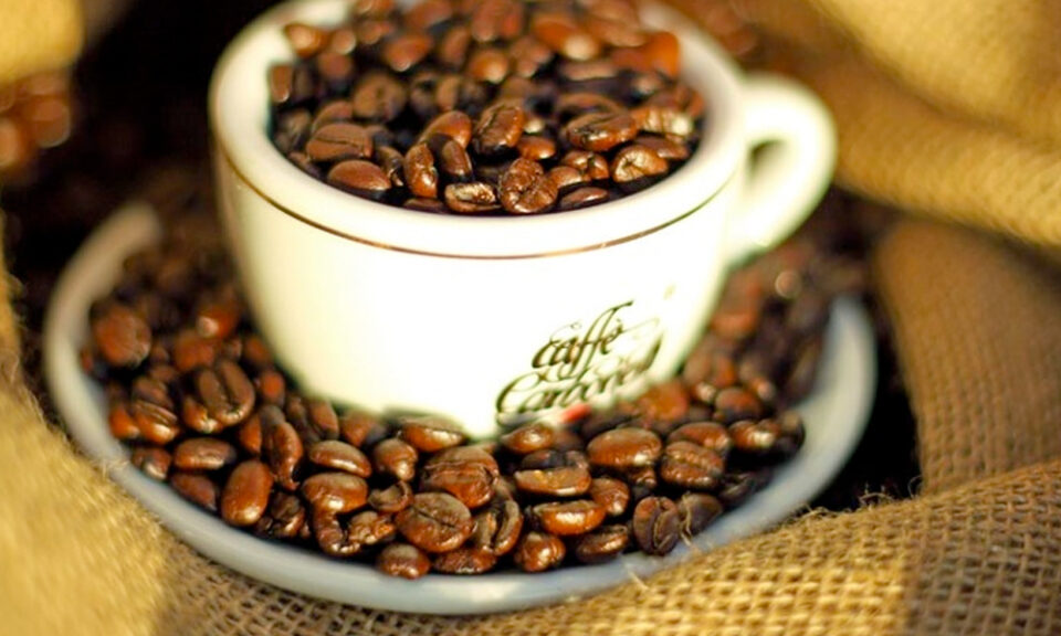 best coffee beans